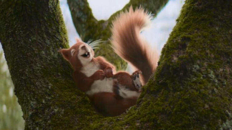 Allianz Direct - Commercial